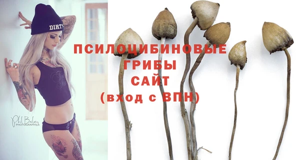 ГАЛЛЮЦИНОГЕННЫЕ ГРИБЫ Армянск