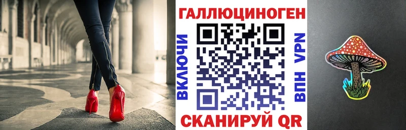 Псилоцибиновые грибы Psilocybe  Балей 